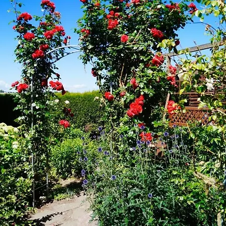 Fewo Gloria Dei Apartment
